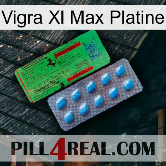 Vigra Xl Max Platinum new03